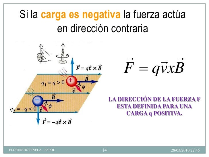 Fuerza Nivel Cero B