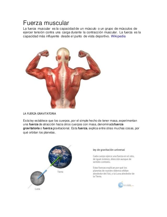 Fuerza muscular Fuerza muscular