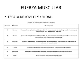 FUERZA MUSCULAR
• ESCALA DE LOVETT Y KENDALL
 
