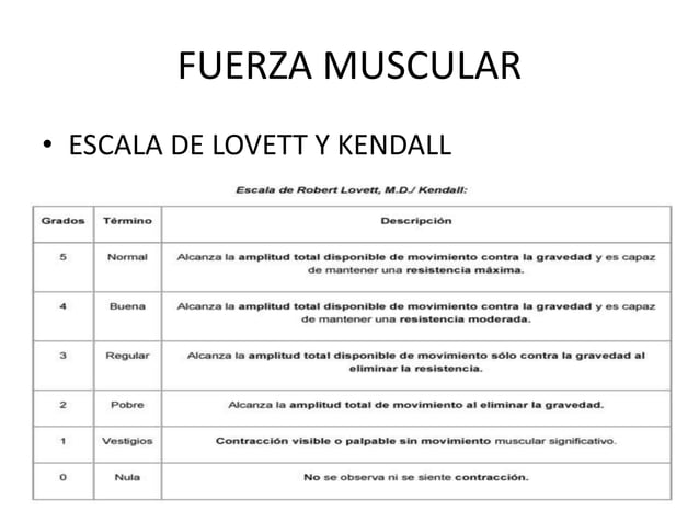 Fuerza muscular