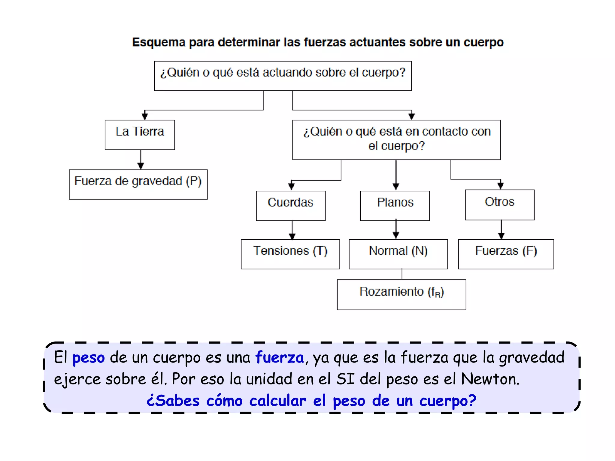 Dinámica, las fuerzas | PPT