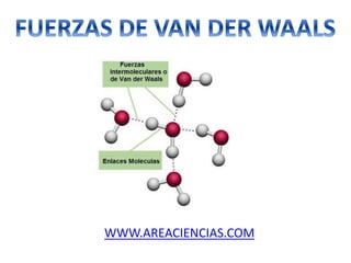 WWW.AREACIENCIAS.COM
 