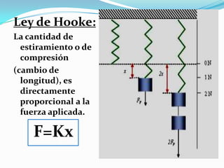 Ley de Hooke:
La cantidad de
  estiramiento o de
  compresión
(cambio de
  longitud), es
  directamente
  proporcional a la
  fuerza aplicada.

    F=Kx
 