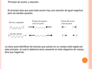 Principio de acción y reacción:   El principio dice que para toda acción hay una reacción de igual magnitud pero de sentido opuesto. La clave para identificar las fuerzas que actúan en un cuerpo está regida por este principio, el cual lo debemos tener presente en todo diagrama de cuerpo libre que hagamos. 