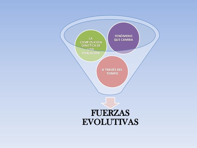 Fuerzas evolutivas