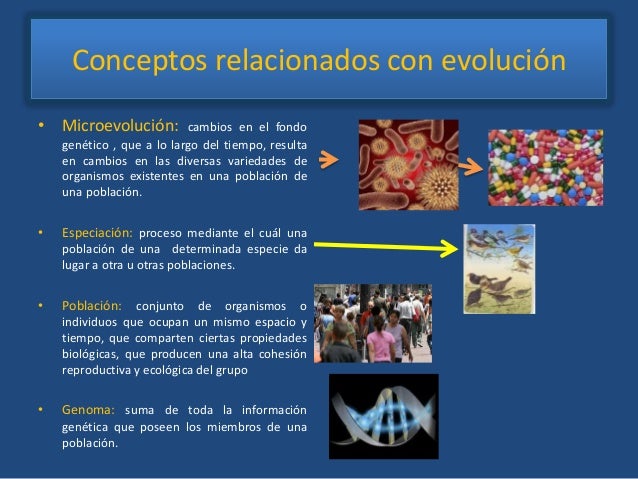 Fuerzas evolutivas