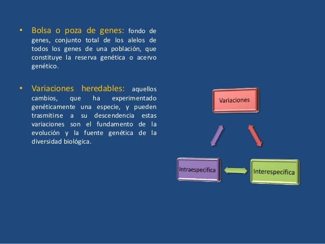 Fuerzas evolutivas