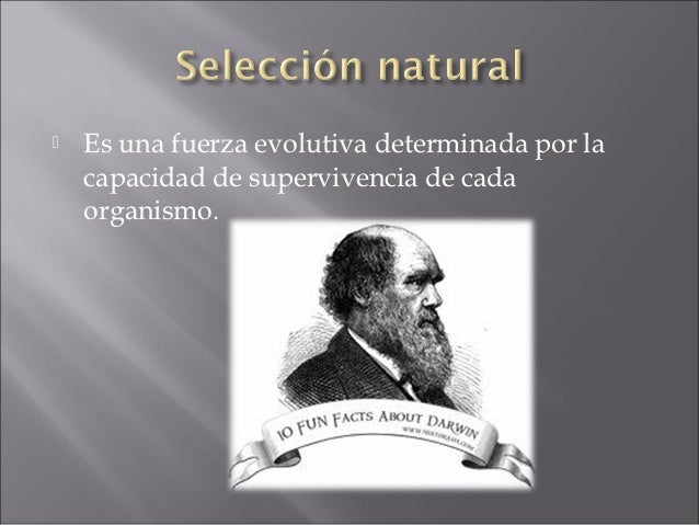 Fuerzas evolutivas slideshare