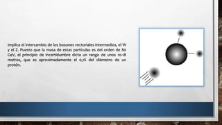 Implica el intercambio de los bosones vectoriales intermedios, el W
y el Z. Puesto que la masa de estas partículas es del orden de 80
GeV, el principio de incertidumbre dicta un rango de unos 10-18
metros, que es aproximadamente el 0,1% del diámetro de un
protón.
 