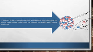 La fuerza o interacción nuclear débil es la responsable de la desintegración
beta de los neutrones; los neutrinos son sensibles únicamente a este tipo de
interacción.
 