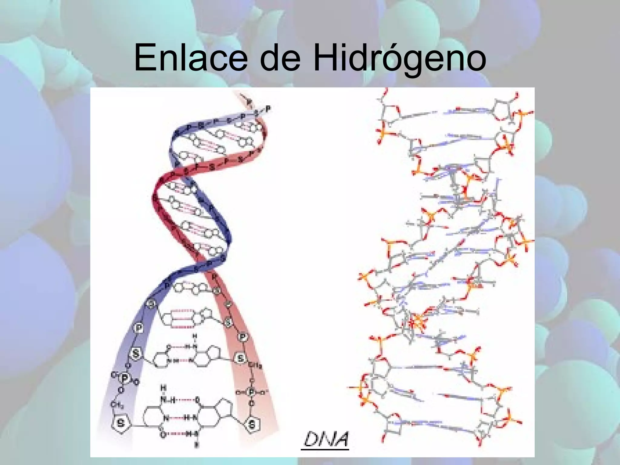 Enlace de Hidrógeno 