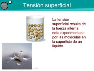 © 2009 Prentice-Hall Inc. Todos los derechos reservados.
Fuerzas
intermoleculares
Tensión superficial
La tensión
superficial resulta de
la fuerza interna
neta experimentada
por las moléculas en
la superficie de un
líquido.
 