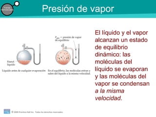 © 2009 Prentice-Hall Inc. Todos los derechos reservados.
Fuerzas
intermoleculares
Presión de vapor
El líquido y el vapor
alcanzan un estado
de equilibrio
dinámico: las
moléculas del
líquido se evaporan
y las moléculas del
vapor se condensan
a la misma
velocidad.
 