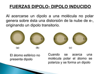 FUERZAS DIPOLO- DIPOLO INDUCIDO
Al acercarse un dipolo a una molécula no polar
genera sobre ésta una distorsión de la nube de e-,
originando un dipolo transitorio.
El átomo esférico no
presenta dipolo
Cuando se acerca una
molécula polar el átomo se
polariza y se forma un dipolo
 