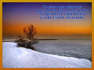 Te elevo una alabanza por todo lo que me has dado. Te agradezco cada batalla y cada triunfo alcanzado. 