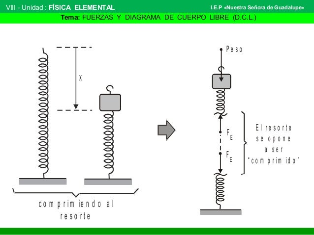 Fuerzas y diagrama de cuerpo libre