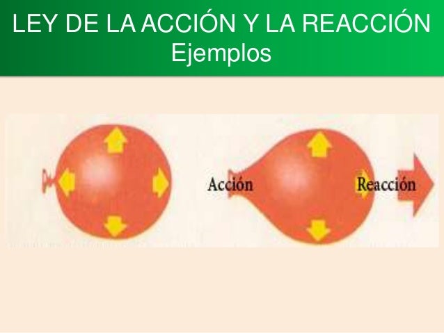 Ley De Reaccion Y Accion Ejemplos