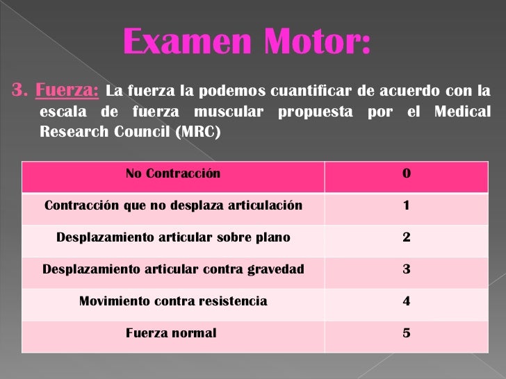 Escala De Fuerza Muscular Modificada Del Mrc