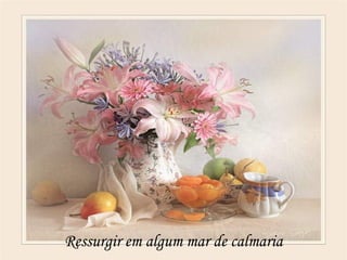Ressurgir em algum mar de calmaria
 