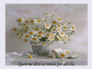  




Quem me dera ao menos por um dia
 