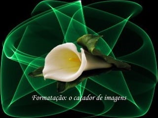 Formatação: o caçador de imagens
 