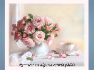Renascer em alguma estrela pálida
 