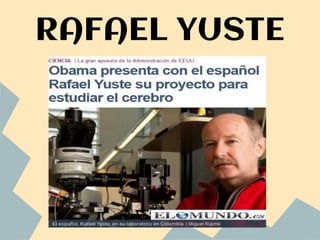 RAFAEL YUSTE