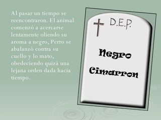 Al pasar un tiempo se reencontraron. El animal comenzó a acercarse lentamente oliendo su aroma a negro, Perro se abalanzó contra su cuello y lo mato, obedeciendo quizá una lejana orden dada hacia tiempo. 