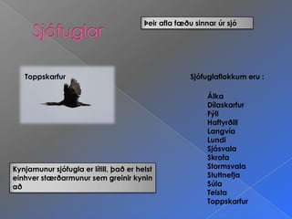 Sjófuglar Þeir afla fæðu sinnar úr sjóSjófuglaflokkum eru :ToppskarfurÁlka DílaskarfurFýllHaftyrðillLangvíaLundiSjásvalaSkrofaStormsvalaStuttnefjaSúlaTeistaToppskarfurKynjamunur sjófugla er lítill, það er helst einhver stærðarmunur sem greinir kynin að