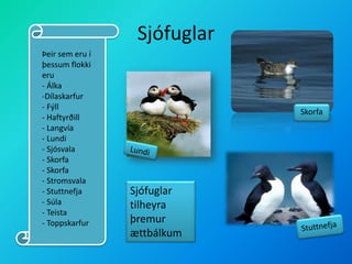 SjófuglarÞeir sem eru í þessum flokki eru- ÁlkaDílaskarfur
