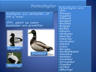 UglaRjúpaLandfuglar eru ósamstæður flokkur þar sem safnað er saman land- eða þurrlendisfuglum, öðrum en spörfuglumAfar lítið er um landfugla eða skógarfugla hér á Íslandi 