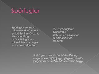 Spörfuglar Spörfuglar eru mjög mismunandi að stærð, en þó flestir smávaxnir. Músarrindill og auðnutittlingur eru minnstir íslenskra fugla, en hrafninn stærsturFótur spörfugla er svonefndur setfótur, en goggurinn er aðlagaður að fæðunniSpörfuglar verpa í vönduð hreiður og ungarnir eru ósjálfbjarga, yfirgefa hreiðrið þegar þeir eru orðnir eða að verða fleygir