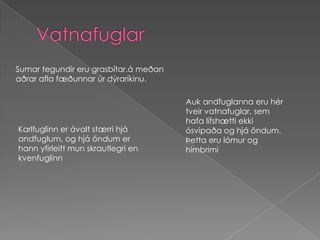 VatnafuglarSumar tegundir eru grasbítar.á meðan aðrar afla fæðunnar úr dýraríkinu.Auk andfuglanna eru hér tveir vatnafuglar, sem hafa lífshætti ekki ósvipaða og hjá öndum. Þetta eru lómur og himbrimiKarlfuglinn er ávalt stærri hjá andfuglum, og hjá öndum er hann yfirleitt mun skrautlegri en kvenfuglinn