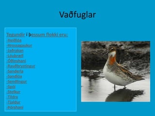 VaðfuglarTegundir í þessum flokki eru: -Heiðlóa-Hrossagaukur-Jaðrakan-Lóuþræll-Óðinshani-Rauðbrystingur-Sanderla-Sandlóa-Sendlingur-Spói-Stelkur-Tildra-Tjaldur-Þórshani