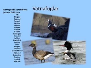 VatnafuglarÞær tegundir sem tilheyra þessum flokki eruÁlft BlesgæsDuggöndFlórgoði GargöndGraföndGrágæsGulöndHávella HeiðargæsHimbrimiHelsingiHrafnsöndHúsöndLómur MargæsSkeiðöndRauðhöfðaöndStokköndStraumöndToppöndUrtöndÆðarfugl 