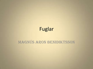 Fuglar Magnús Aron Benidiktsson 