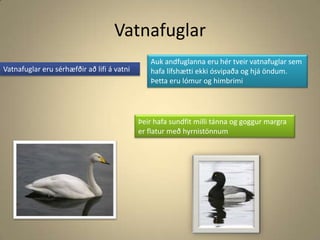 VatnafuglarAuk andfuglanna eru hér tveir vatnafuglar sem hafa lífshætti ekki ósvipaða og hjá öndum. Þetta eru lómur og himbrimi Vatnafuglar eru sérhæfðir að lifi á vatniÞeir hafa sundfit milli tánna og goggur margra er flatur með hyrnistönnum