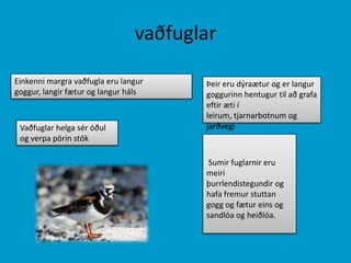 vaðfuglarEinkenni margra vaðfugla eru langur goggur, langir fætur og langur hálsÞeir eru dýraætur og er langur goggurinn hentugur til að grafa eftir æti í leirum, tjarnarbotnum og jarðvegiVaðfuglar helga sér óðul og verpa pörin stök Sumir fuglarnir eru meiri þurrlendistegundir og hafa fremur stuttan gogg og fætur eins og sandlóa og heiðlóa.