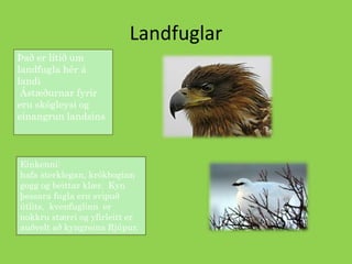 LandfuglarÞað er lítið um landfugla hér á landi Ástæðurnar fyrir eru skógleysi og einangrun landsinsEinkenni:  hafa sterklegan, krókboginn gogg og beittar klær.  Kyn þessara fugla eru svipuð útlits,  kvenfuglinn  er nokkru stærri og yfirleitt er auðvelt að kyngreina Rjúpur.