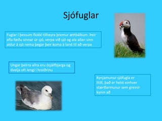 SjófuglarFuglar í þessum flokki tilheyra þremur ættbálkum. Þeir afla fæðu sinnar úr sjó, verpa við sjó og ala allan sinn aldur á sjó nema þegar þeir koma á land til að verpaUngar þeirra allra eru ósjálfbjarga og dvelja oft lengi í hreiðrinuKynjamunur sjófugla er lítill, það er helst einhver stærðarmunur sem greinir kynin að