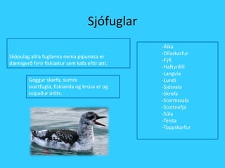 SjófuglarSköpulag allra fuglanna nema pípunasa er dæmigerð fyrir fiskiætur sem kafa eftir æti.-Álka-Dílaskarfur-Fýll-Haftyrðill-Langvía-Lundi-Sjósvala-Skrofa-Stormsvala-Stuttnefja-Súla-Teista-ToppskarfurGoggur skarfa, sumra svartfugla, fiskianda og brúsa er og svipaður útlits.