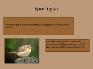 SpörfuglarFótur spörfugla er svonefndur setfótur, en goggurinn er aðlagaður að fæðunni.Spörfuglar verpa í vönduð hreiður og ungarnir eru ósjálfbjarga, yfirgefa hreiðrið þegar þeir eru orðnir eða að verða fleygir.