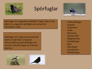 SpörfuglarSpörfuglar eru langstærsti ættbálkur fugla. Það eru þó aðeins níu tegundir spörfugla sem verpa hér í einhverjum mæli-Auðnutittlingur -Gráspör-Gráþröstur-Hrafn-Maríuerla-Músarrindill-Skógarþröstur-Snjótittlingur-Stari-Steindepill-Svartþröstur-ÞúfutittlingurSpörfuglar eru mjög mismunandi að stærð, en þó flestir smávaxnir. Músarrindill og auðnutittlingur eru minnstir íslenskra fugla, en hrafninn stærstur. 