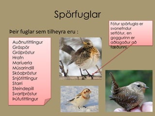 SpörfuglarFótur spörfugla er svonefndur setfótur, en goggurinn er aðlagaður að fæðunni. Þeir fuglar sem tilheyra eru :Auðnutittlingur Gráspör Gráþröstur Hrafn Maríuerla MúsarindillSkóaþröstur Snjótittlingur Starri Steindepill Svartþröstur Þúfutittlingur 
