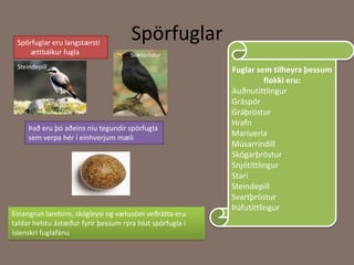 SpörfuglarSpörfuglar eru langstærsti ættbálkur fuglaFuglar sem tilheyra þessum flokki eru:AuðnutittlingurGráspörGráþrösturHrafnMaríuerlaMúsarrindillSkógarþrösturSnjótittlingurStariSteindepillSvartþrösturÞúfutittlingurSvartþrösturSteindepillÞað eru þó aðeins níu tegundir spörfugla sem verpa hér í einhverjum mæliEinangrun landsins, skógleysi og vætusöm veðrátta eru taldar helstu ástæður fyrir þessum rýra hlut spörfugla í íslenskri fuglafánu