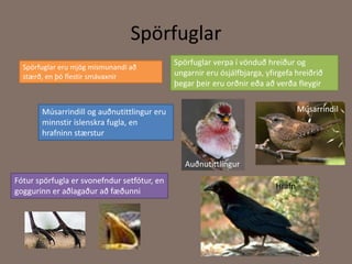 SpörfuglarSpörfuglar verpa í vönduð hreiður og ungarnir eru ósjálfbjarga, yfirgefa hreiðrið þegar þeir eru orðnir eða að verða fleygir Spörfuglar eru mjög mismunandi að stærð, en þó flestir smávaxnirlMúsarrindilMúsarrindill og auðnutittlingur eru minnstir íslenskra fugla, en hrafninn stærstur AuðnutittlingurFótur spörfugla er svonefndur setfótur, en goggurinn er aðlagaður að fæðunniHrafn