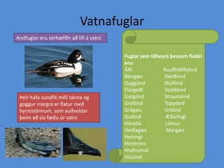 VatnafuglarFuglar sem tilheyra þessum flokki eru:Álft                        Rauðhöfðaönd                     Blesgæs                 SkeiðöndDuggönd               SkúföndFlórgoði                 StokköndGargönd                StraumöndGrafönd                 ToppöndGrágæs                  Urtönd Gulönd                   ÆðarfuglHávella                   LómurHeiðagæs               MargæsHelsingiHimbrimiHrafnsöndHúsönd ÆðarfuglAndfuglar eru sérhæfðir að lifi á vatniÞeir hafa sundfit milli tánna og goggur margra er flatur með hyrnistönnum, sem auðveldar þeim að sía fæðu úr vatni