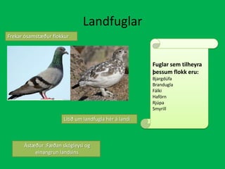 LandfuglarFrekar ósamstæður flokkur Fuglar sem tilheyra þessum flokk eru: BjargdúfaBranduglaFálkiHaförnRjúpaSmyrillLítið um landfugla hér á landiÁstæður :Fæðan skógleysi og einangrun landsins