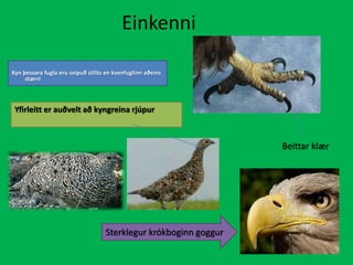 EinkenniKyn þessara fugla eru svipuð útlits en kvenfuglinn aðeins stærriYfirleitt er auðvelt að kyngreina rjúpurBeittar klærSterklegur krókboginn goggur 