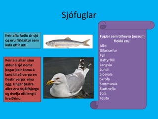 SjófuglarFuglar sem tilheyra þessum flokki eru:ÁlkaDílaskarfurFýllHaftyrðillLangvíaLundiSjósvalaSkrofaStormsvalaStuttnefjaSúlaTeistaÞeir afla fæðu úr sjó og eru fiskiætur sem kafa eftir ætiÞeir ala allan sinn aldur á sjó nema þegar þeir koma á land til að verpa en flestir verpa  einu egg. Ungar þeirra allra eru ósjálfbjarga og dvelja oft lengi í hreiðrinu